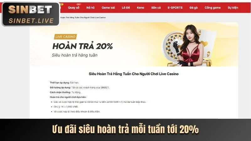 Xác nhận thông tin và hoàn tất